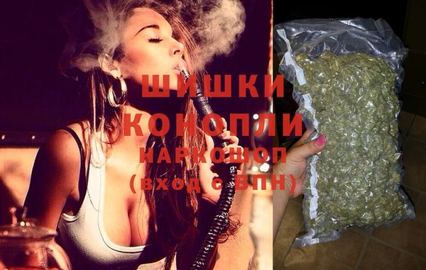 ГАЛЛЮЦИНОГЕННЫЕ ГРИБЫ Гусев