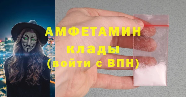 ГАЛЛЮЦИНОГЕННЫЕ ГРИБЫ Гусев