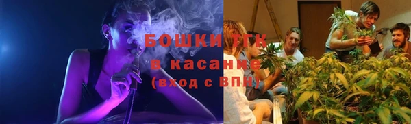 стафф Гусь-Хрустальный