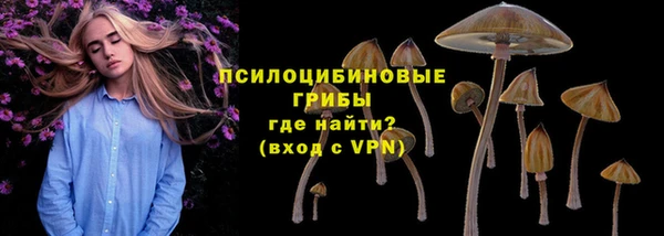 стафф Гусь-Хрустальный