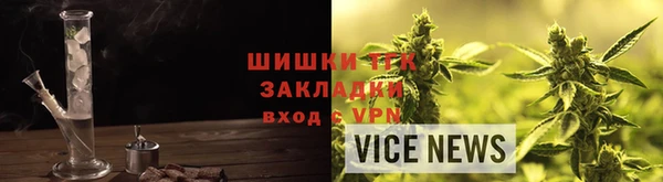ГАЛЛЮЦИНОГЕННЫЕ ГРИБЫ Гусев