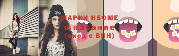 ГАЛЛЮЦИНОГЕННЫЕ ГРИБЫ Гусев