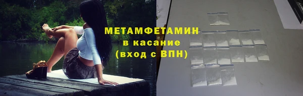 ГАЛЛЮЦИНОГЕННЫЕ ГРИБЫ Гусев