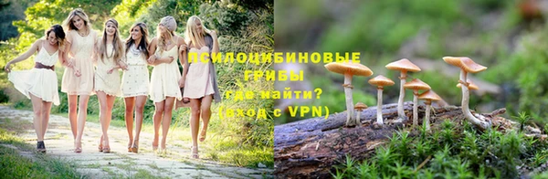 ГАЛЛЮЦИНОГЕННЫЕ ГРИБЫ Гусев