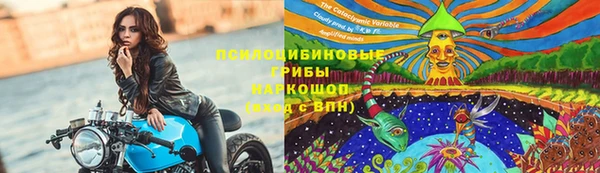 а пвп мука Гусиноозёрск