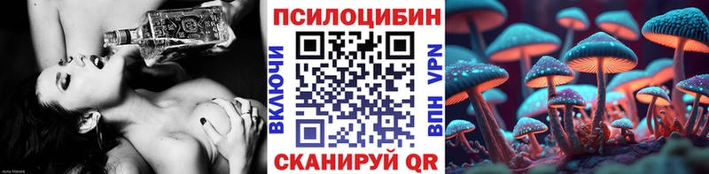 kraken зеркало  Невель  Псилоцибиновые грибы GOLDEN TEACHER  наркотики 